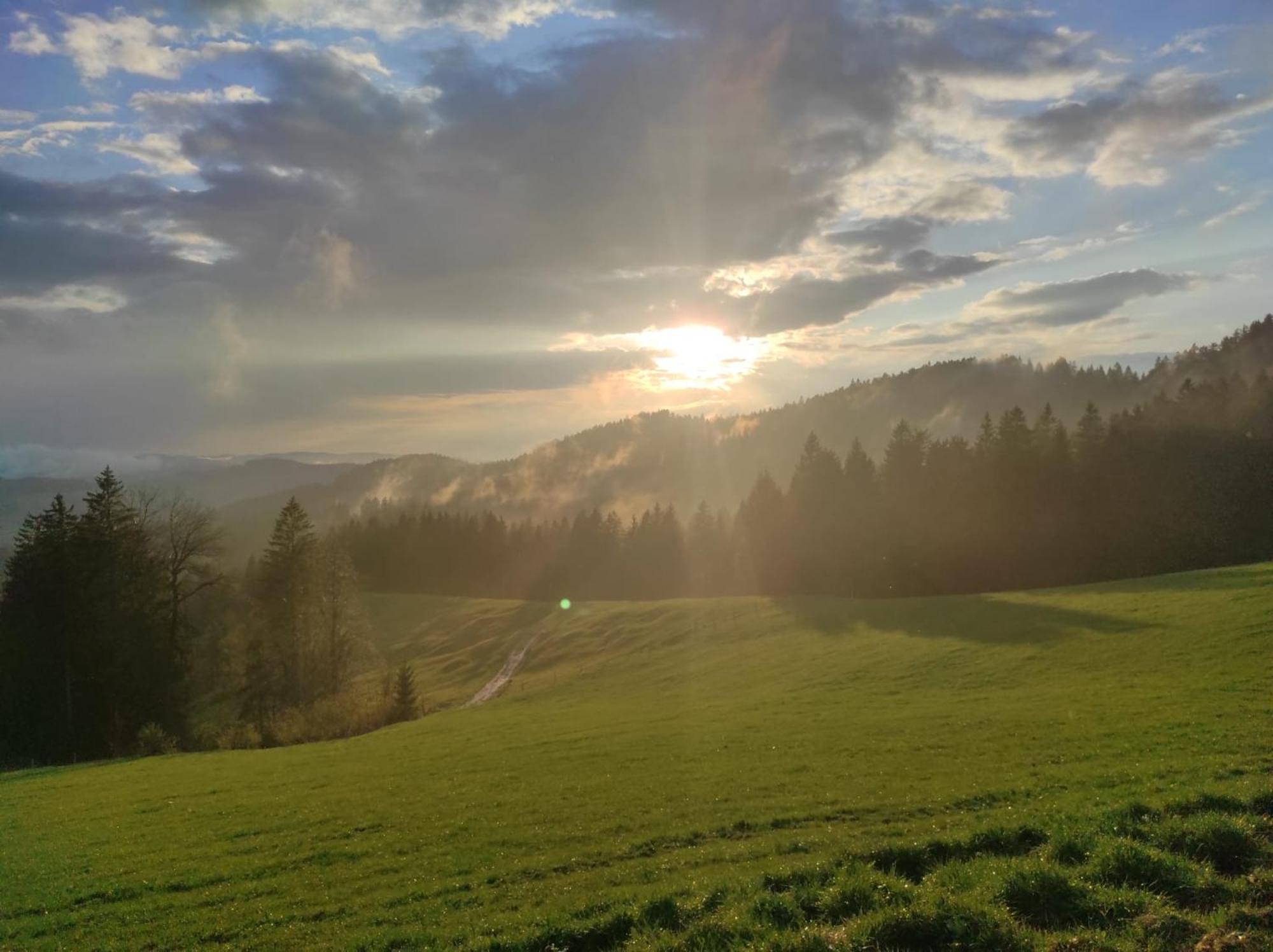 Sonnen-Juwel - Hallenbad-Sauna-2 Getrennte Schlafbereiche-Direkt An Der Skipiste Missen-Wilhams Zewnętrze zdjęcie