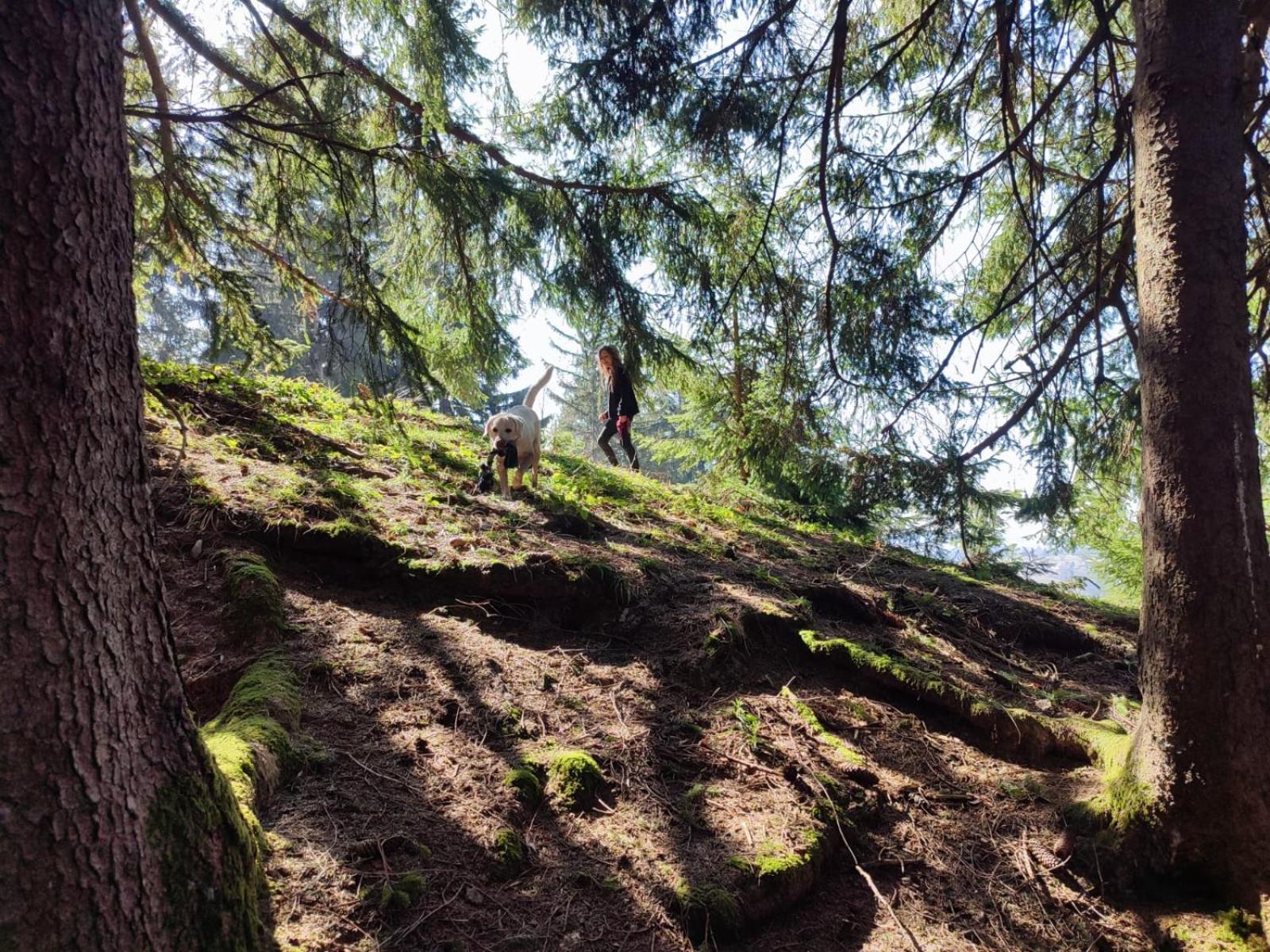 Sonnen-Juwel - Hallenbad-Sauna-2 Getrennte Schlafbereiche-Direkt An Der Skipiste Missen-Wilhams Zewnętrze zdjęcie